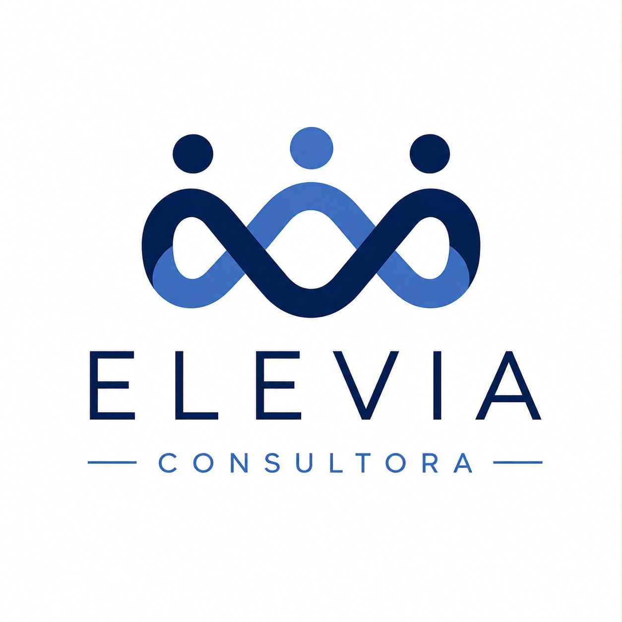 ELEVIA CONSULTORA